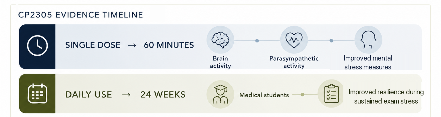 CP2305 evidence timeline: single dose, 60 minutes, improving brain activity, parasympathetic activity and mental stress measures; daily use, 24 weeks, improving resilience during sustained exam stress in medical students.